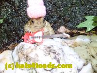 /home//u458753944/public_html/sourcegallery////////////////////////McKaig Nature Center/2020-06-05/P6050514.JPG